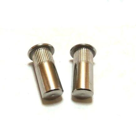 1-3.5 Piso de zinc acabado de acero al carbono Nuts de remaches de acero inoxidable para fijación duradera