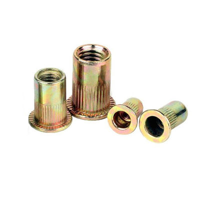 Nuez galvanizada de cabeza plana con remaches verticales de grado 4.8/8.8/10.9/12.9 Ect