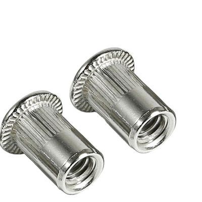 Nuez galvanizada de cabeza plana con remaches verticales de grado 4.8/8.8/10.9/12.9 Ect